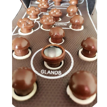 AcuPoint Slippers - Foot Reflexology Acupressure Slipper